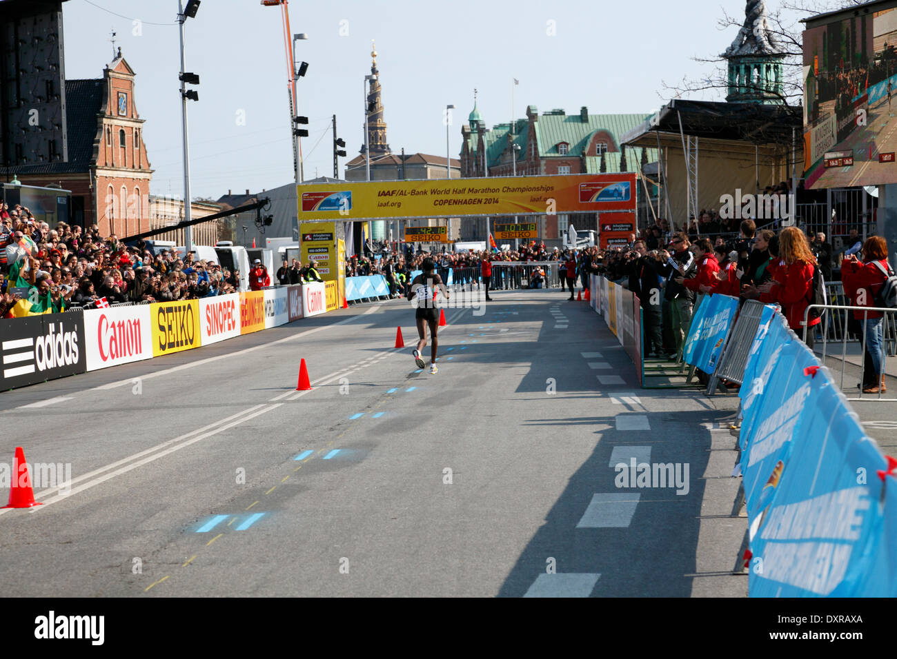 Copenhague, Dinamarca. El 29 de marzo, 2014. Los corredores en el IAAF/AL-Banco Mundial campeonatos de Media Maratón 2014 corrió en las calles de Copenhague soleado con inicio y meta en el Christiansborg Palace Square. La elite hombres y mujeres fueron seguidos por casi 30.000 recreativos y sub-corredores de élite. Gladys Cherono desde Kenya terminando en 1:07.28 y ganando la clase de mujeres. Crédito: Niels Quist/Alamy Live News Foto de stock