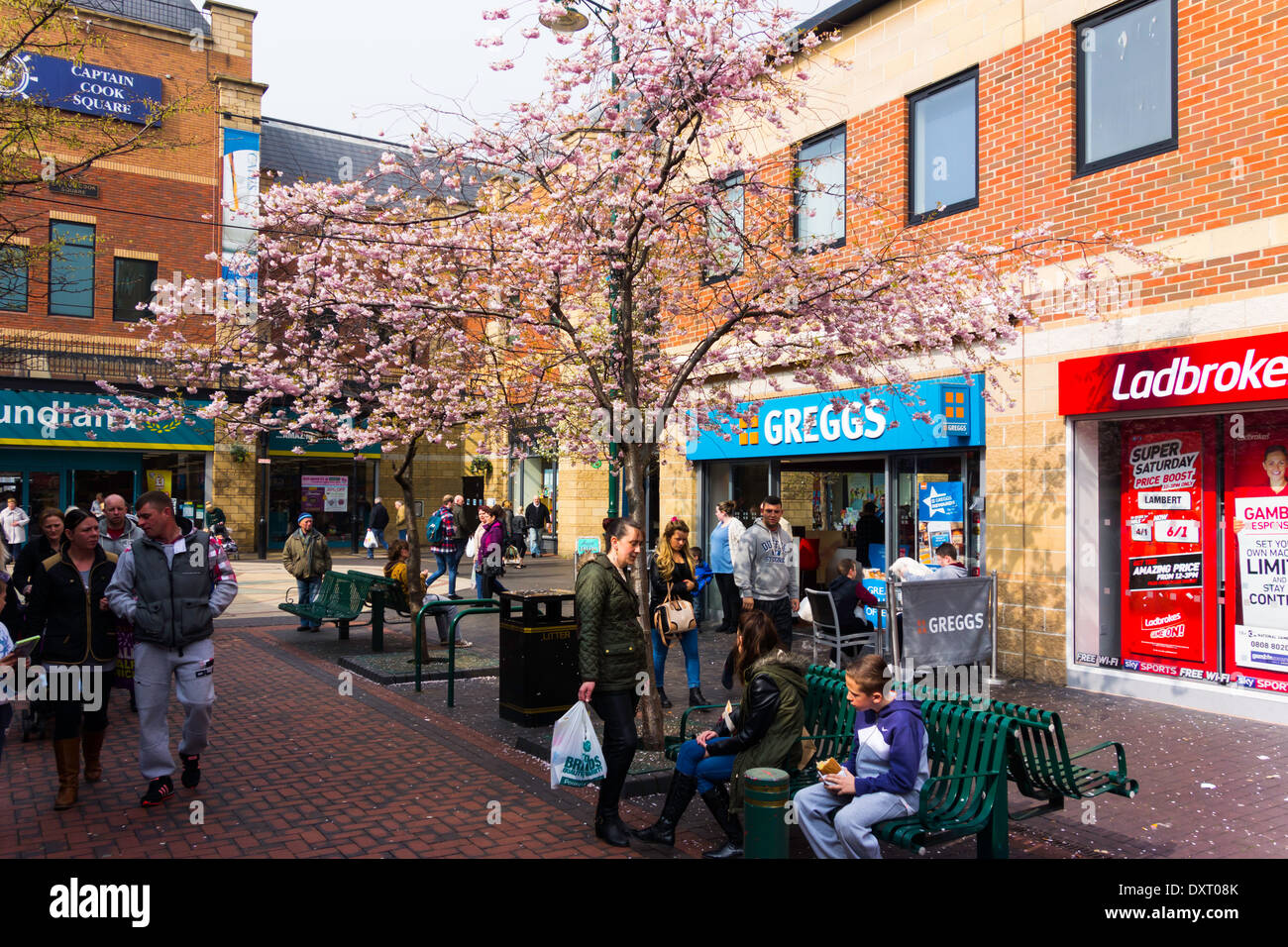 Gilkes Street y el Capitán Cook Middlesbrough cuadrados en una mañana de primavera con árbol de cerezo en flor Foto de stock