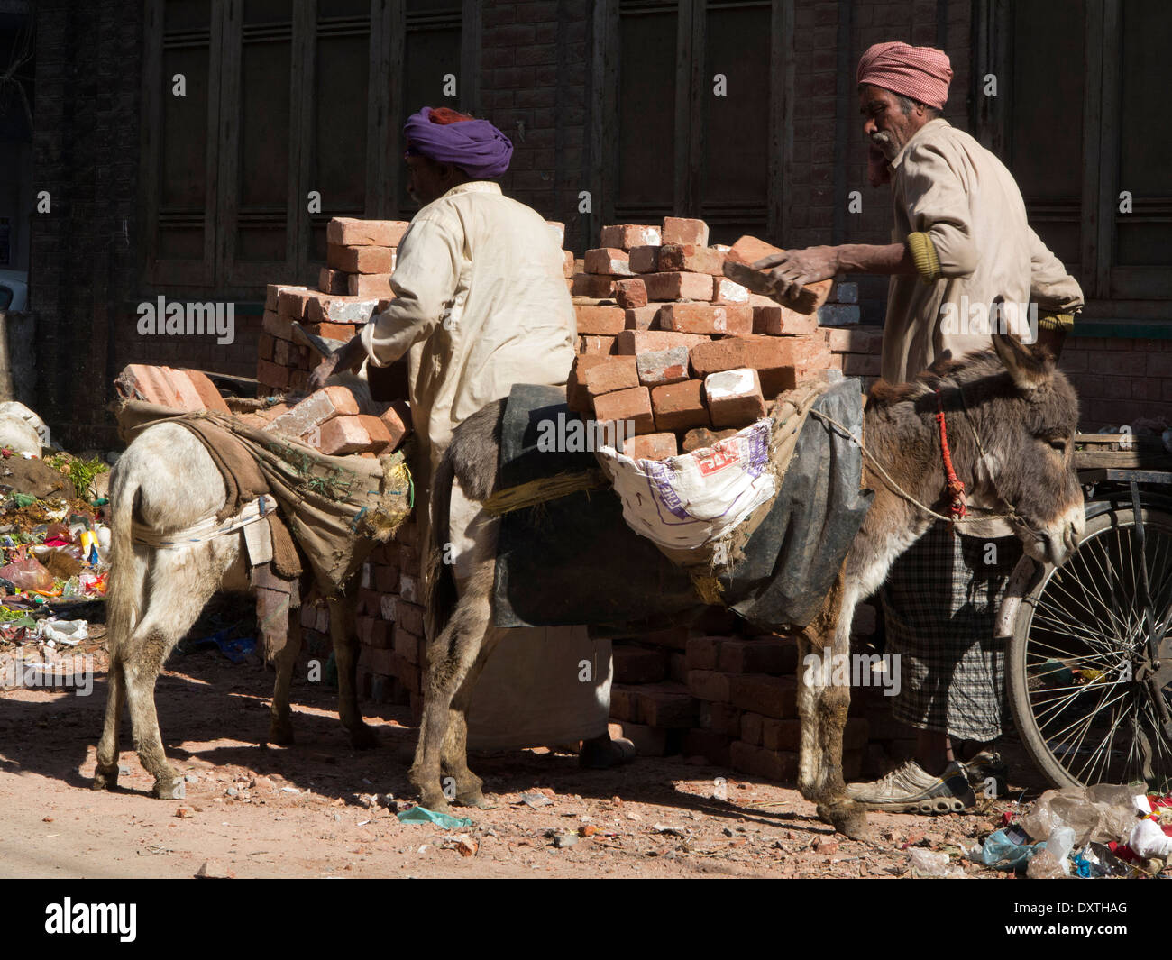 La India, Punjab, Amritsar, la crueldad hacia los animales, los burros están sobrecargados con ladrillos en bolsas Foto de stock