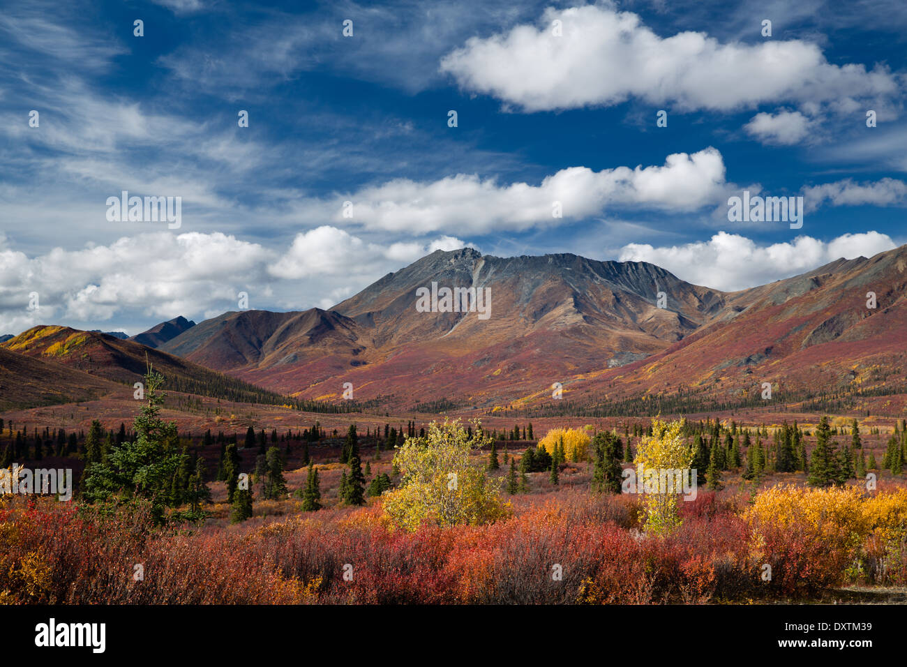 Los colores de otoño y la Catedral de la montaña, Parque Territorial de desecho, los Territorios del Yukón, Canadá Foto de stock