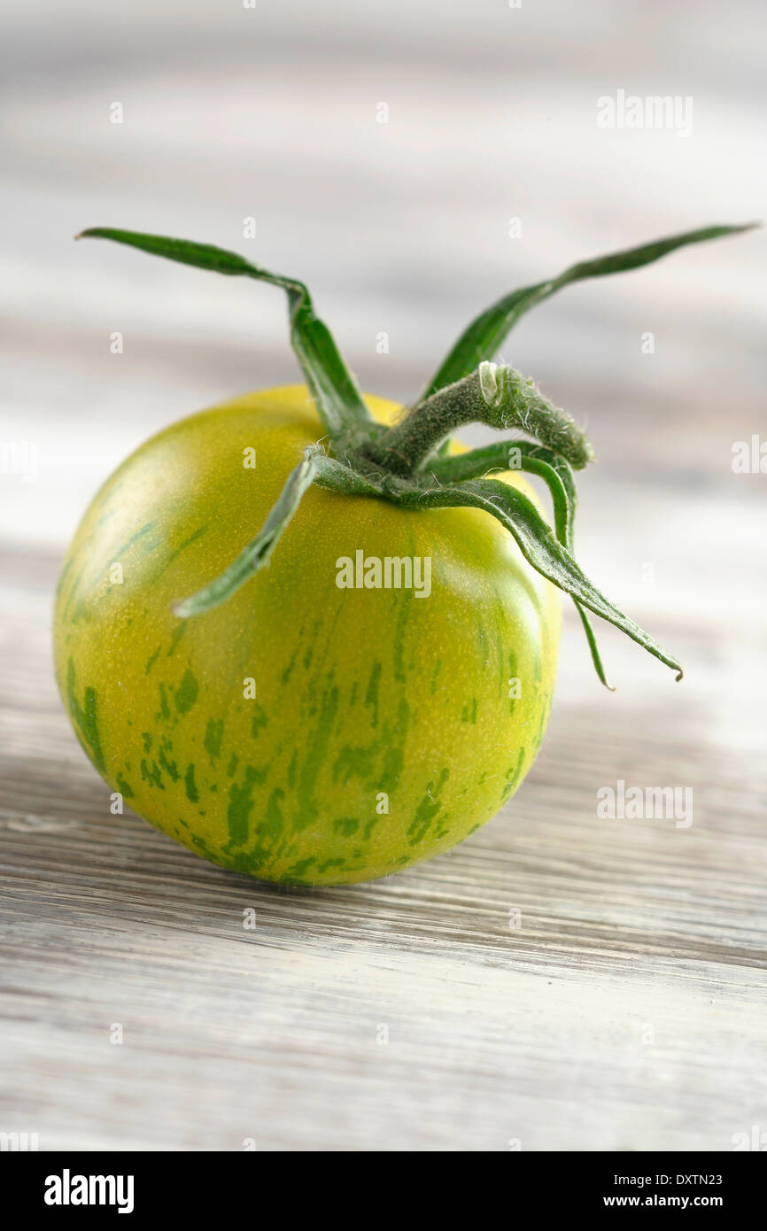 Tomate cebra verde Foto de stock