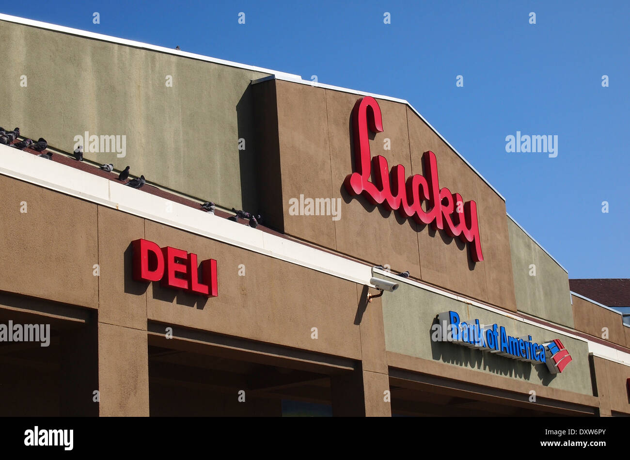 Lucky supermercado con Bank of America sucursal Foto de stock