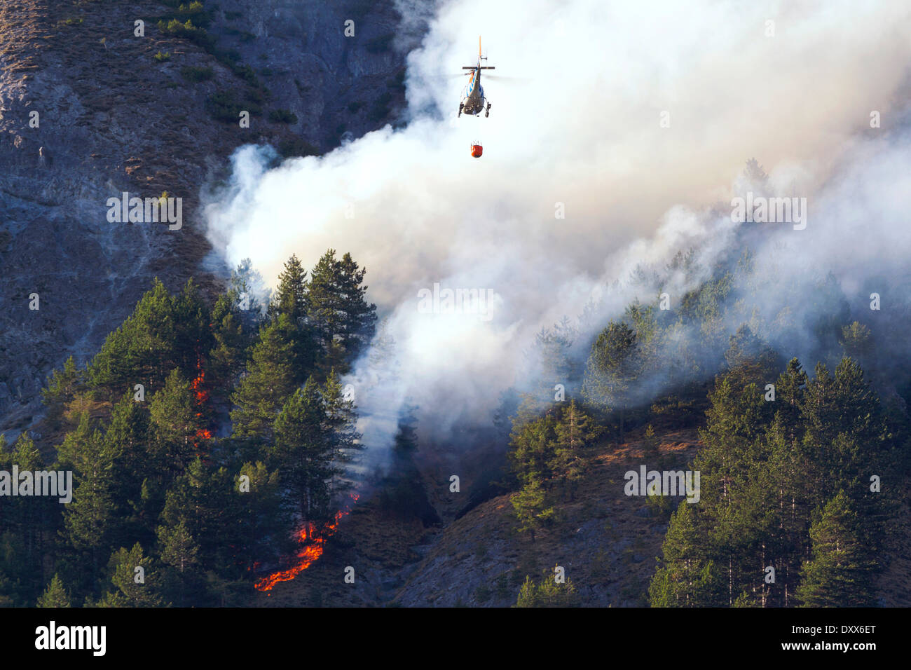 Helicóptero agua de dumping durante un incendio forestal, Tirol, Austria Foto de stock