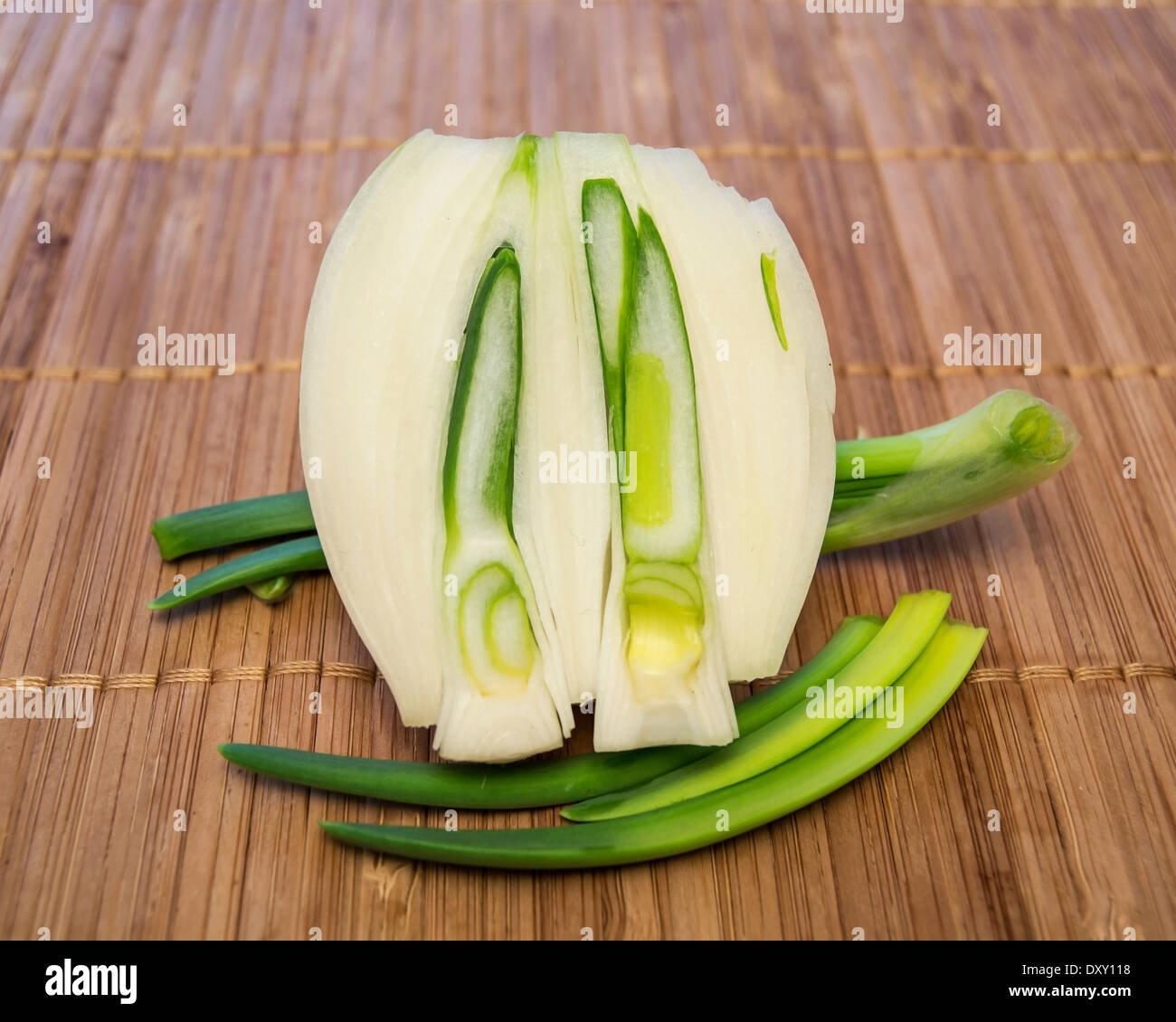 Picadora de cebolla fotografías e imágenes de alta resolución - Alamy