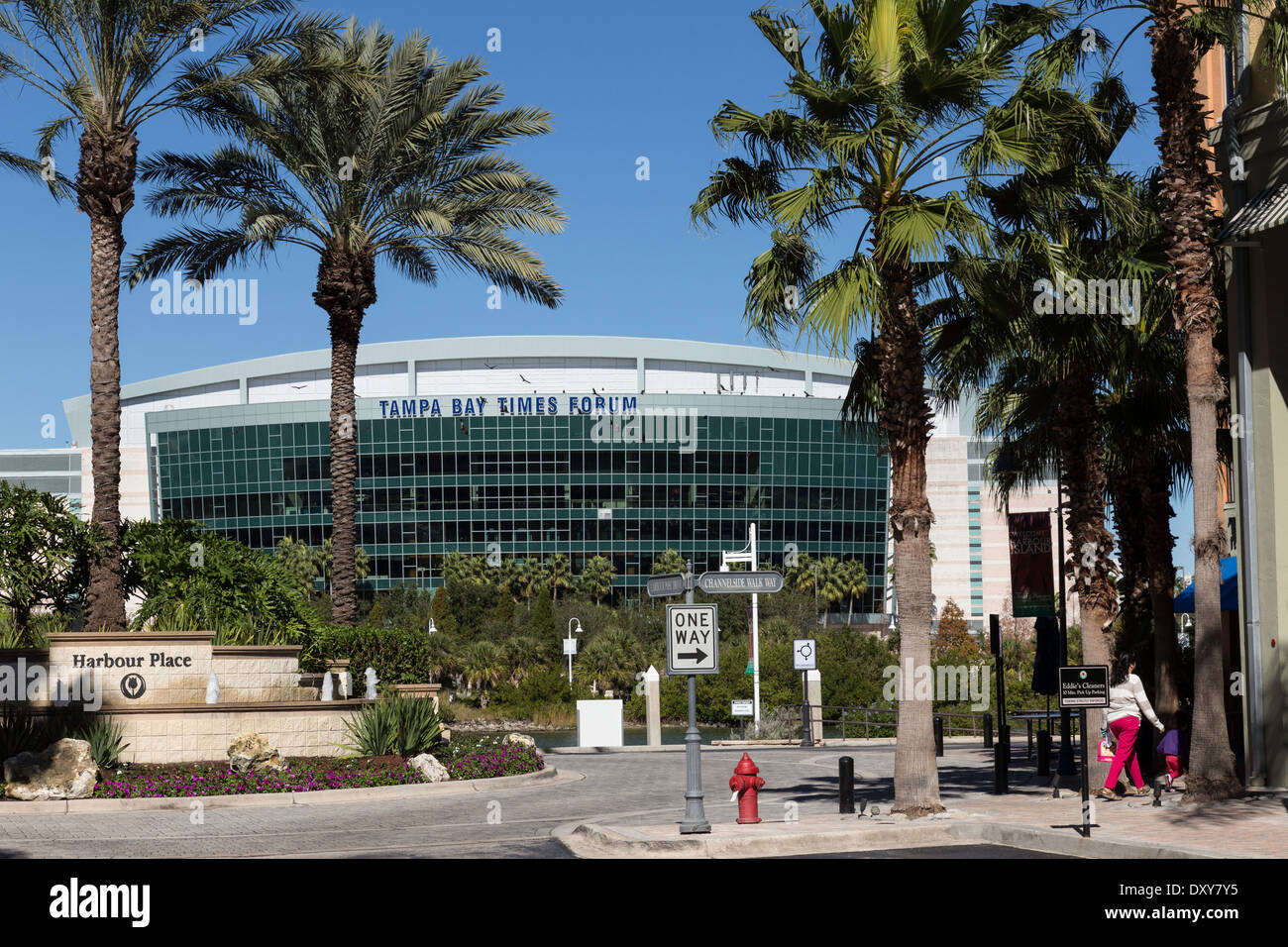 Tampa Bay Times Forum y palmeras, Tampa, FL. Foto de stock