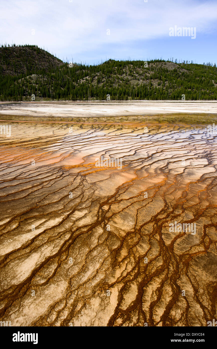 Grand Prismatic Spring, que forma parte de la Cuenca del Géiser de Midway en el Parque Nacional de Yellowstone. Foto de stock