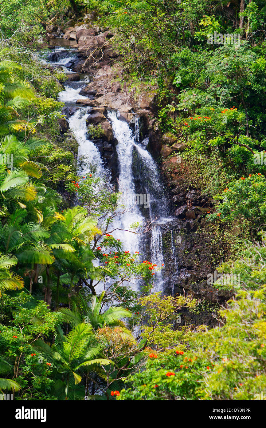 Nanue cascada ubicada en la costa de Hamakua; Big Island, Hawaii, Hawaii, Estados Unidos de América Foto de stock