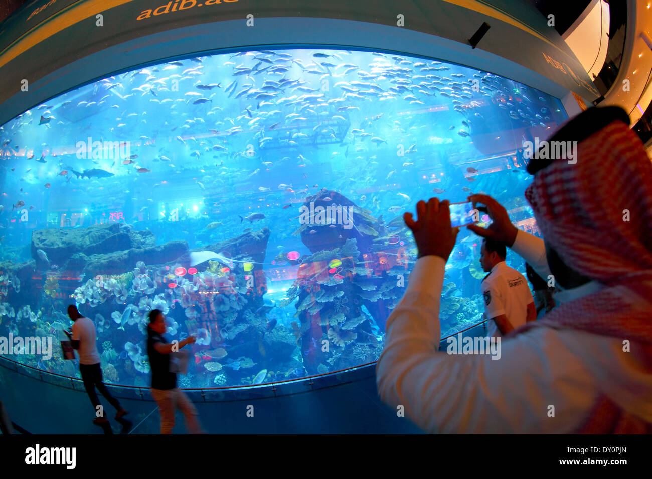 El centro de Dubai, el Dubai Mall, el acuario, el Zoo subacuático, Dubai  Fotografía de stock - Alamy