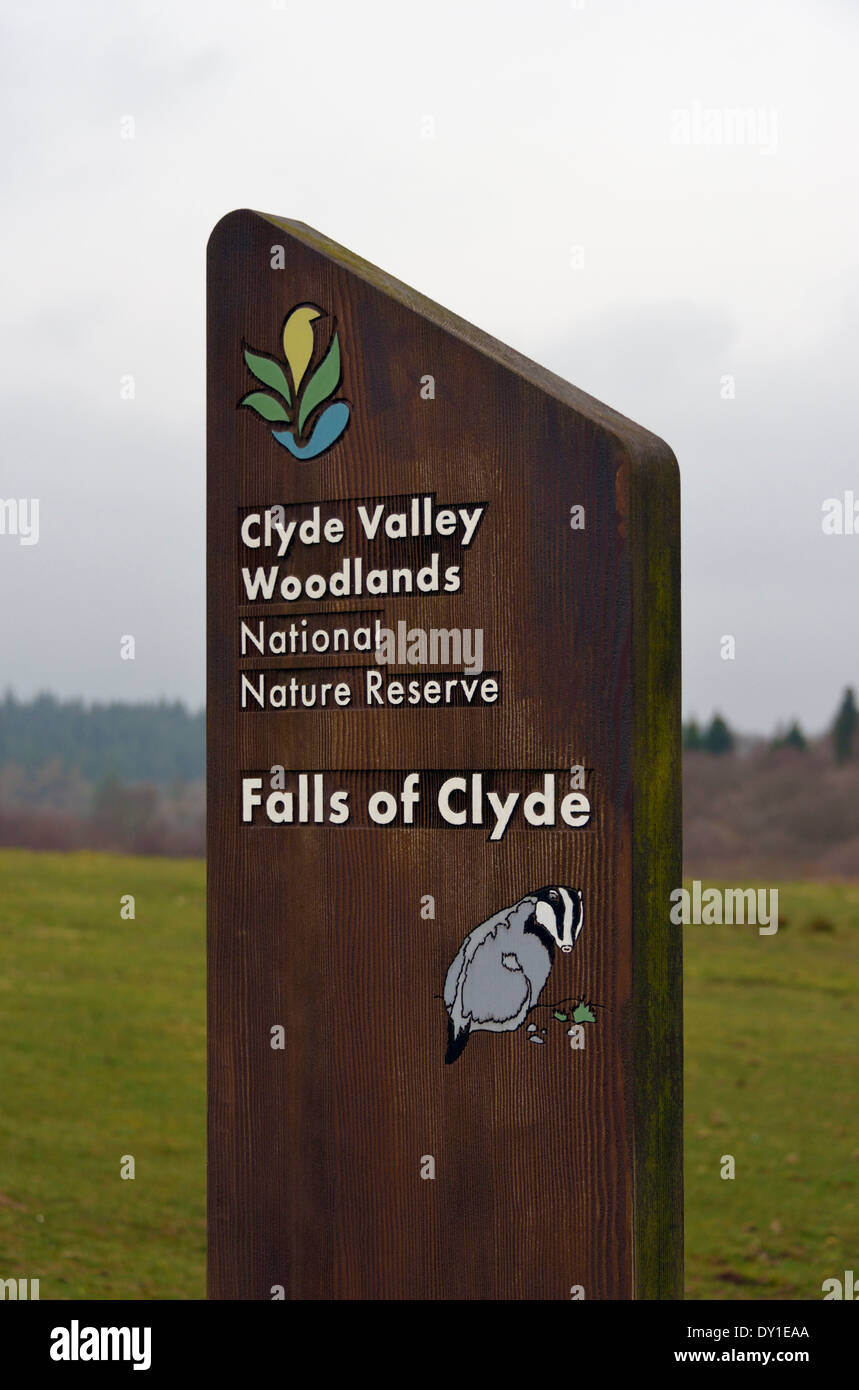 Letrero.Clyde Valley Woodlands Reserva Natural Nacional, caídas de Clyde. Lanarkshire, Escocia, Reino Unido, Europa Foto de stock