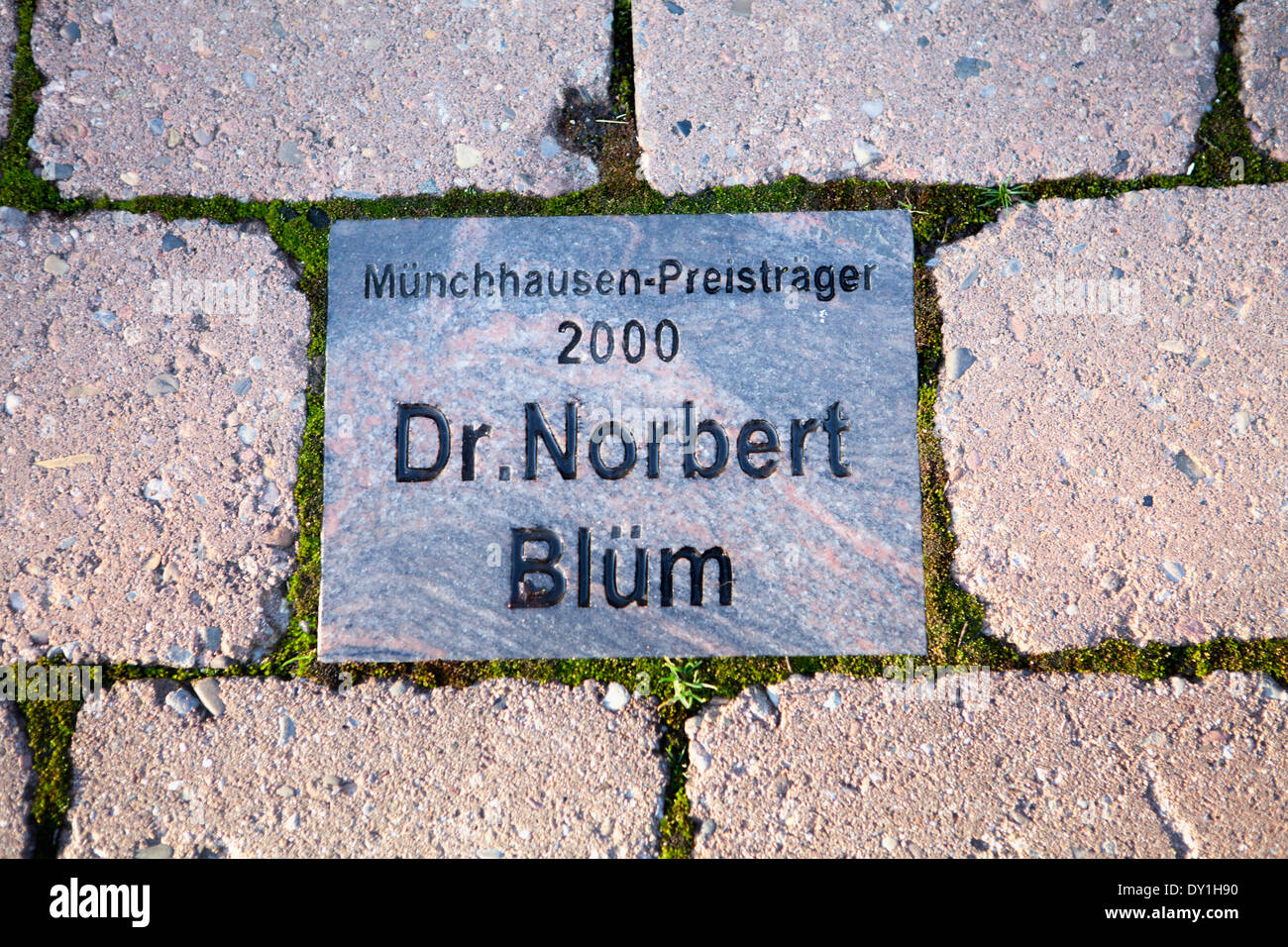 Baron Muenchhausen Award 2000, el Dr. Norbert Blum, Bodenwerder, Weserbergland, Baja Sajonia, Alemania Foto de stock