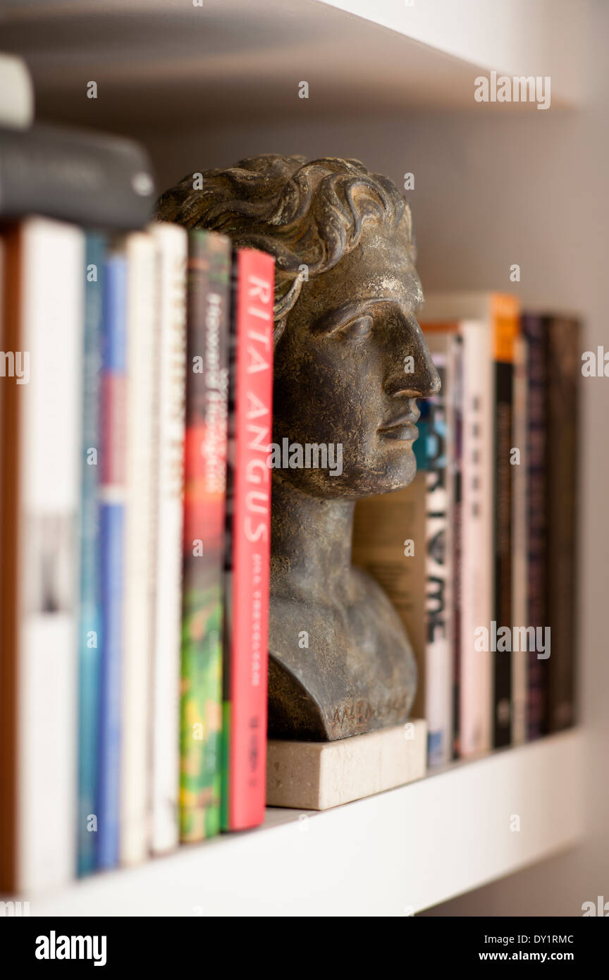Detalle de un busto entre los libros en una estantería Foto de stock