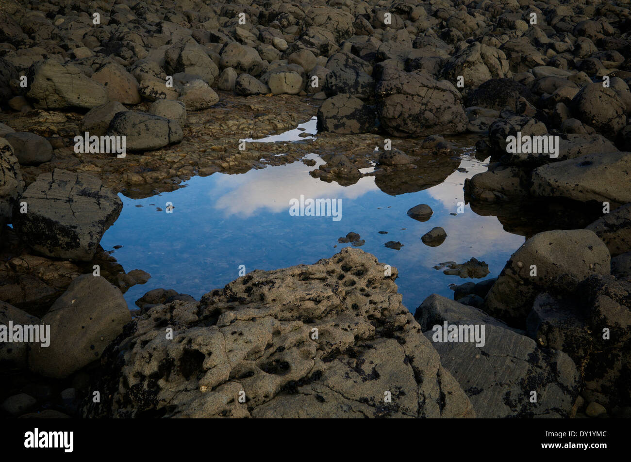 El cielo reflejado en una piscina natural de agua caliente en la playa en la península Coromandel, en Nueva Zelanda. Foto de stock