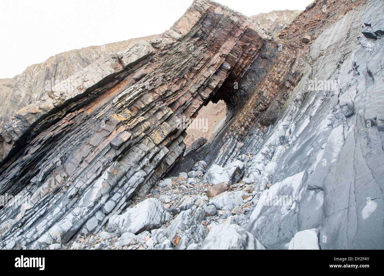 Complejo plegamiento de los estratos de roca sedimentaria en acantilados costeros en Hartland Quay, north Devon, Inglaterra Foto de stock
