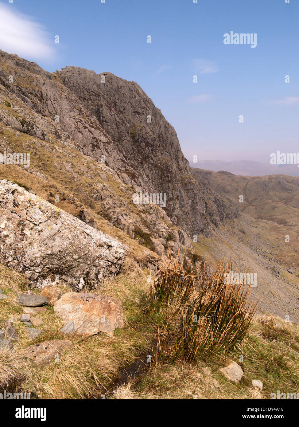 Riscos y cara de la roca de la montaña, Arca Pavey Langdale Pikes, Gran Langdale, Lake District, Cumbria, Inglaterra, Reino Unido. Foto de stock