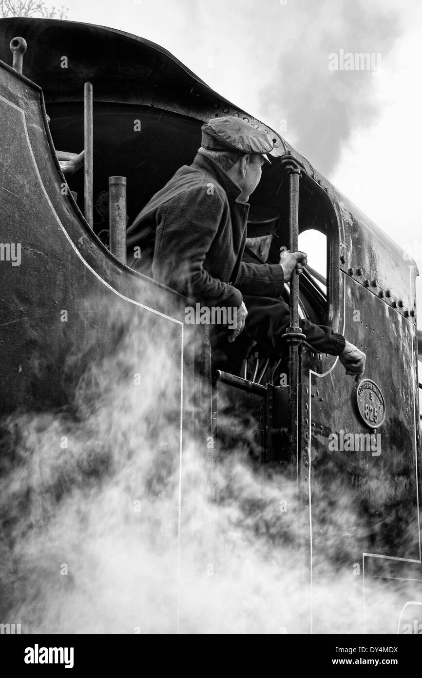 Tren de vapor en North Yorkshire railway Heritage Railway George Stephenson Foto de stock