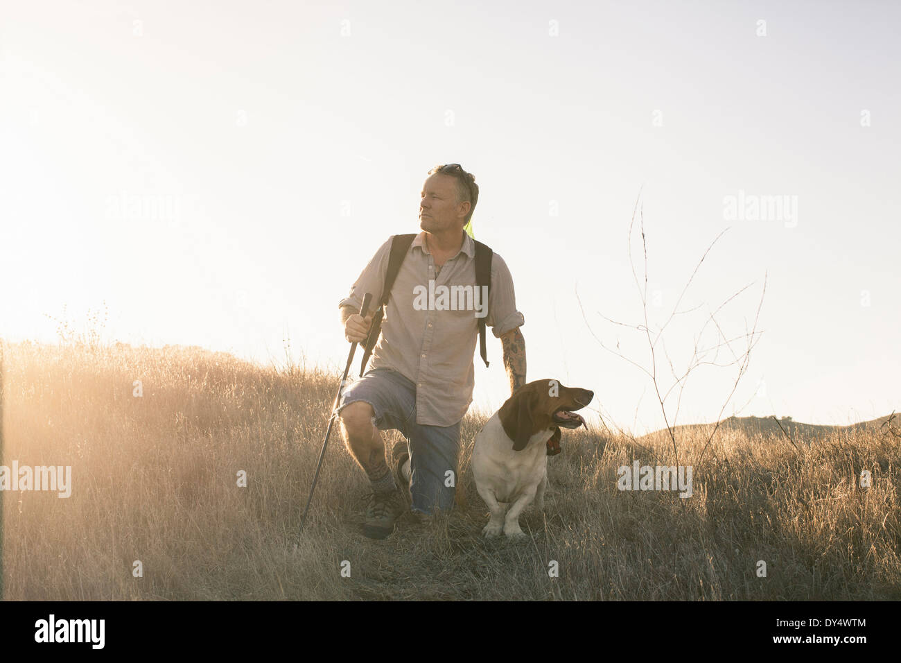 Hombre maduro y su Basset Hound tomando un descanso de senderismo en las montañas de Santa Mónica, California, EE.UU. Foto de stock