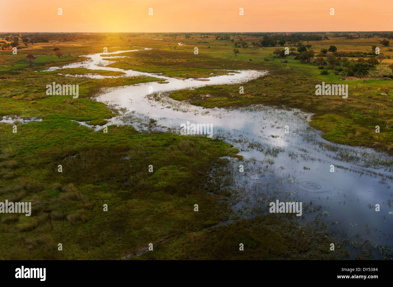 Atardecer en el Delta del Okavango, el Parque Nacional Chobe, Botswana, África Foto de stock