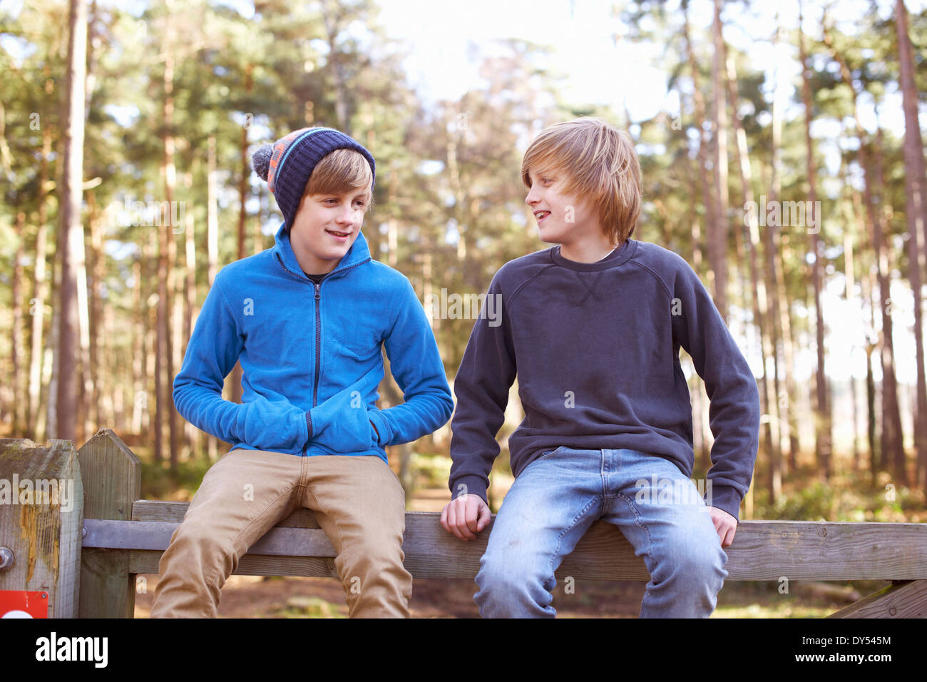 Los hermanos gemelos sentado en la puerta del bosque Foto de stock