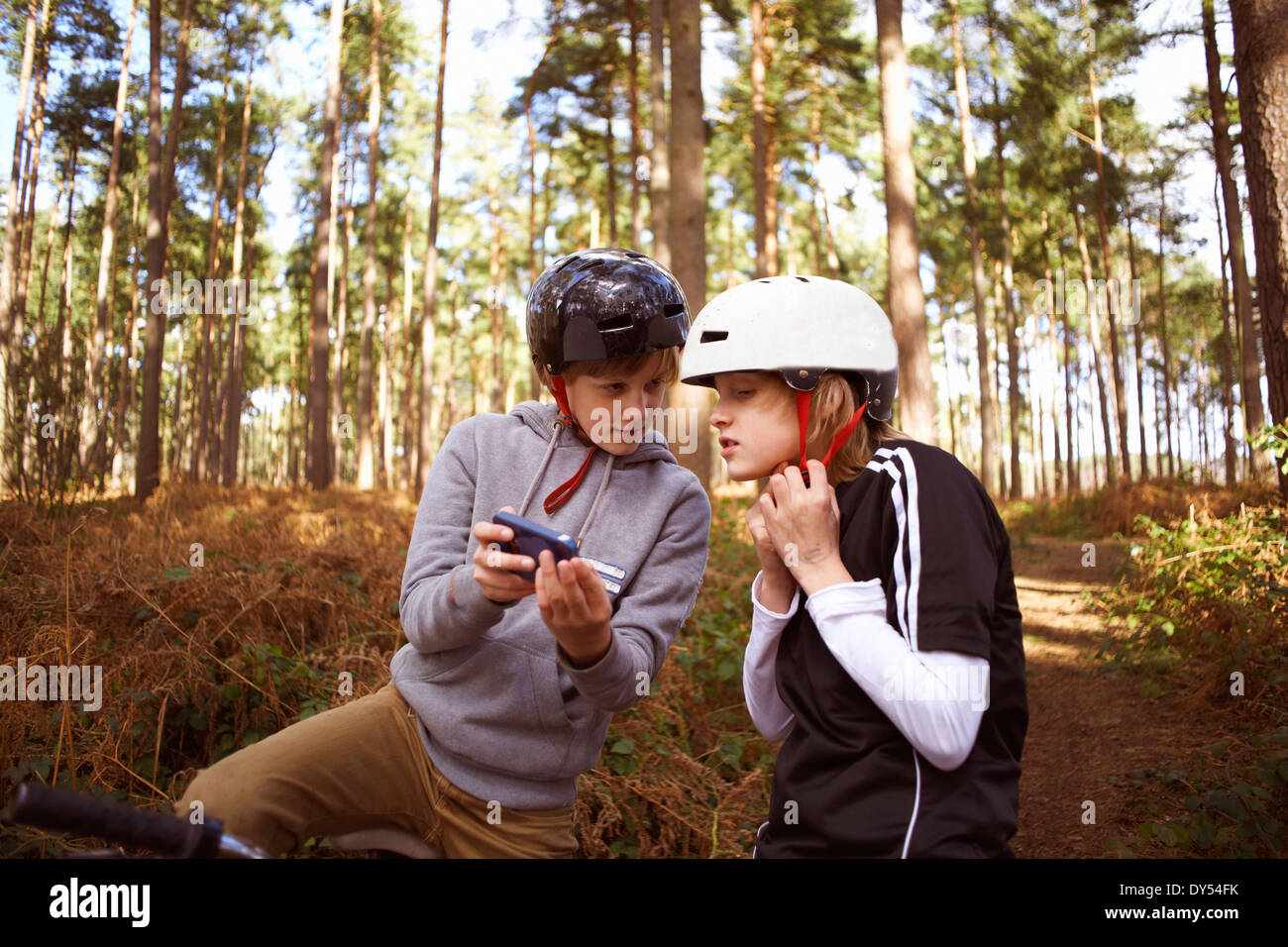 Hermanos del bosque fotografías e imágenes de alta resolución Alamy