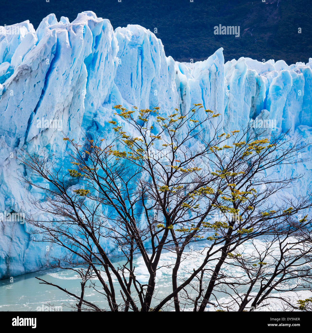 El Glaciar Perito Moreno es un glaciar ubicado en el Parque Nacional Los Glaciares, en el sudoeste de la provincia de Santa Cruz, Argentina. Foto de stock