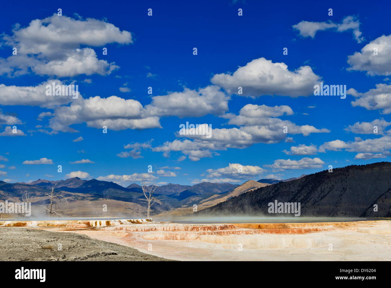 Los árboles muertos y vapor con montañas y cielos azules, Mammoth Hot Springs, Parque Nacional de Yellowstone, la UNESCO Sitio, Wyoming, EE.UU. Foto de stock