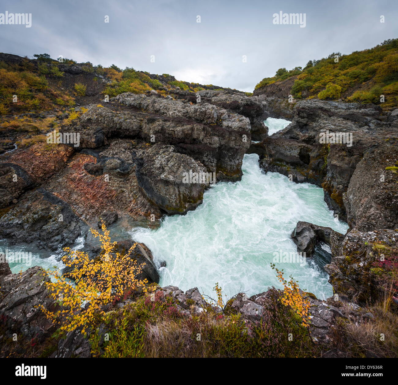 Barnafoss, resortes y Children's Falls, Islandia, las regiones polares Foto de stock
