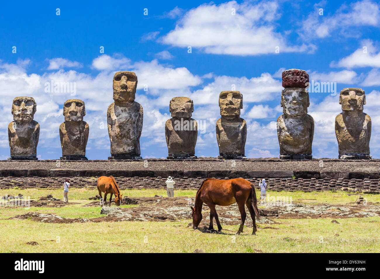 Caballos que pastan en el sitio ceremonial restaurado de Ahu Tongariki en la Isla de Pascua (Isla de Pascua) (Rapa Nui), la UNESCO Sitio, Chile Foto de stock