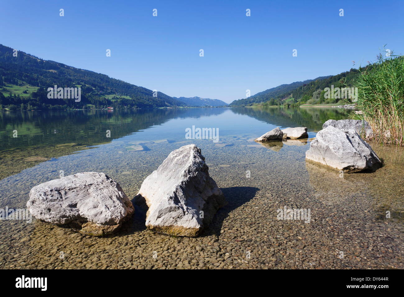 Lago Alpsee, Immenstadt, Allgau, Baviera, Alemania, Europa Foto de stock