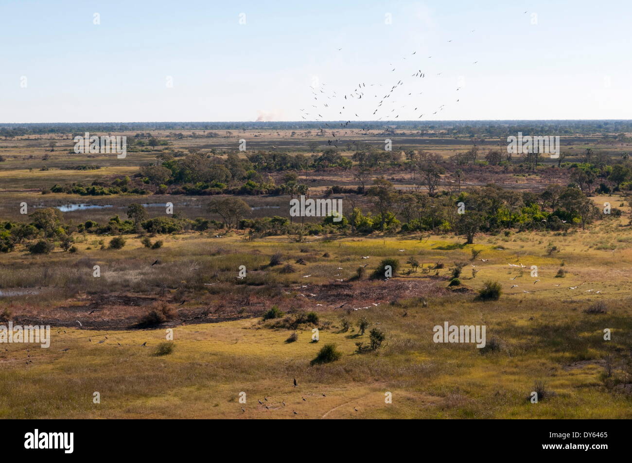 Vista aérea del Delta del Okavango, Botswana, África Foto de stock