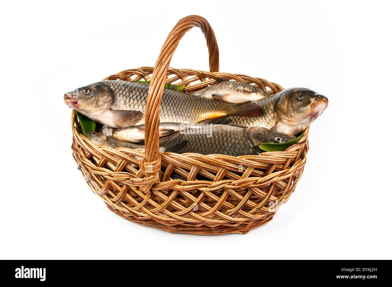 Canasta de pescado fotografías e imágenes de alta resolución - Alamy