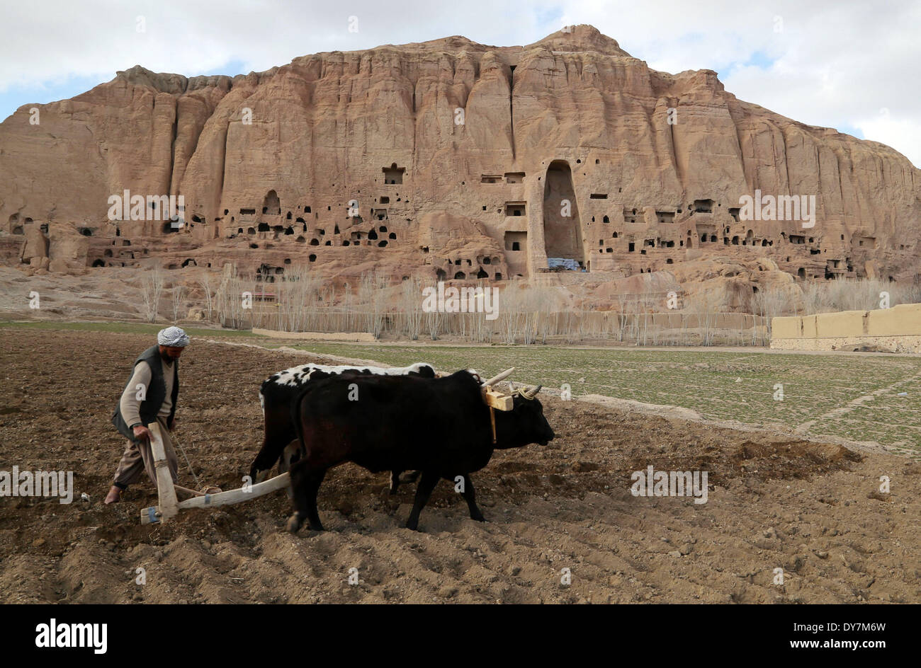 Bamyan, Afganistán. 9 abr, 2014. Un agricultor afgano arados un campo de patatas con vacas en la provincia de Bamyan, Afganistán, el 9 de abril de 2014. © Kamran/Xinhua/Alamy Live News Foto de stock