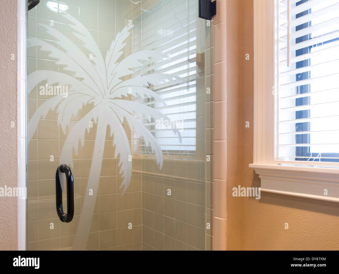 Escaparate de cuarto de baño con cabina de ducha de cristal puerta con  grabados de palmera, EE.UU Fotografía de stock - Alamy