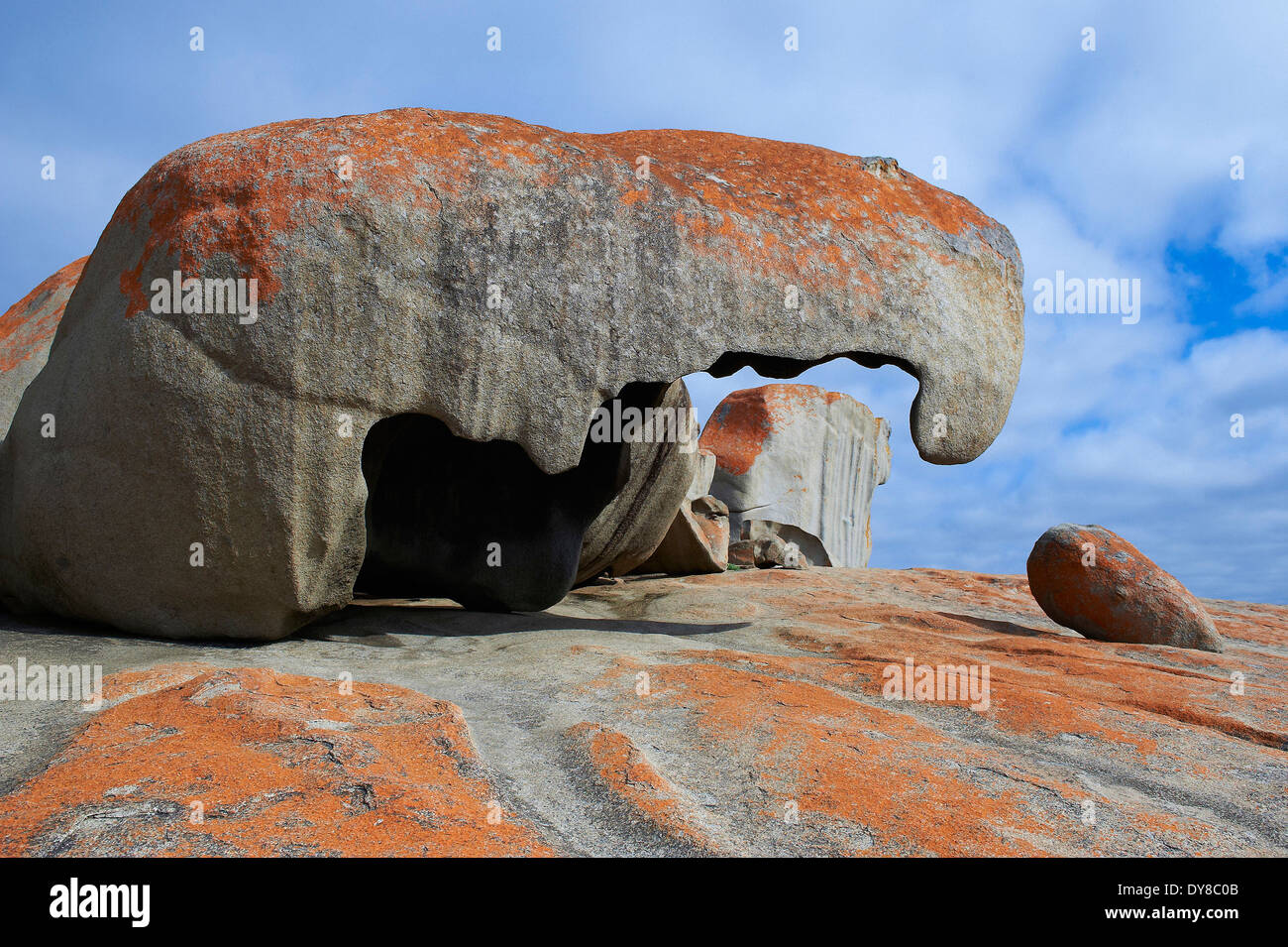 Australia, Cliff, rock, Kangaroo Island, Notable, Cliff rock, rock, formación, grupo, conceptos Foto de stock