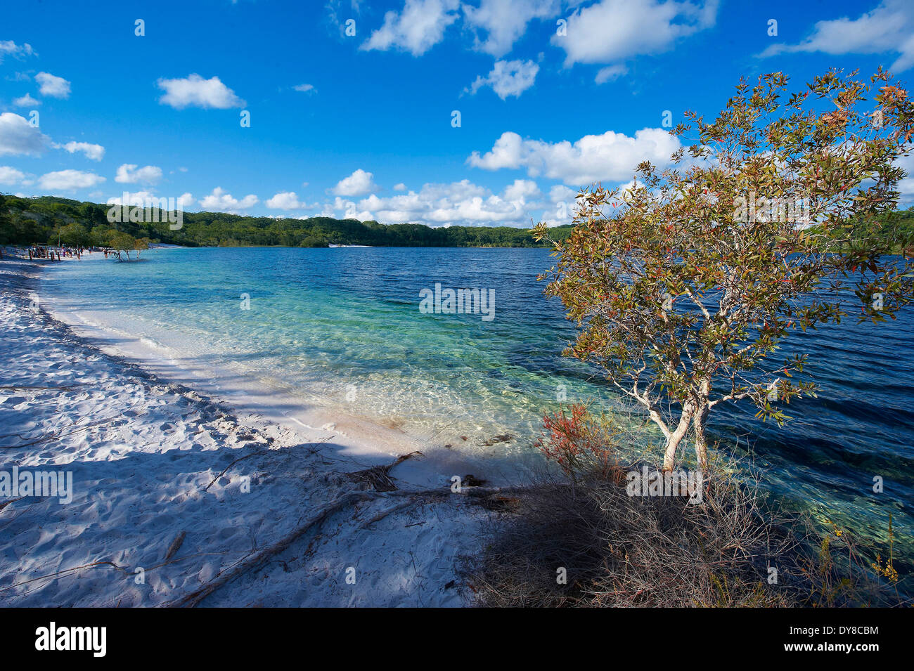 Australia, Fraser Island, parque nacional, Queensland, mar, costa Foto de stock