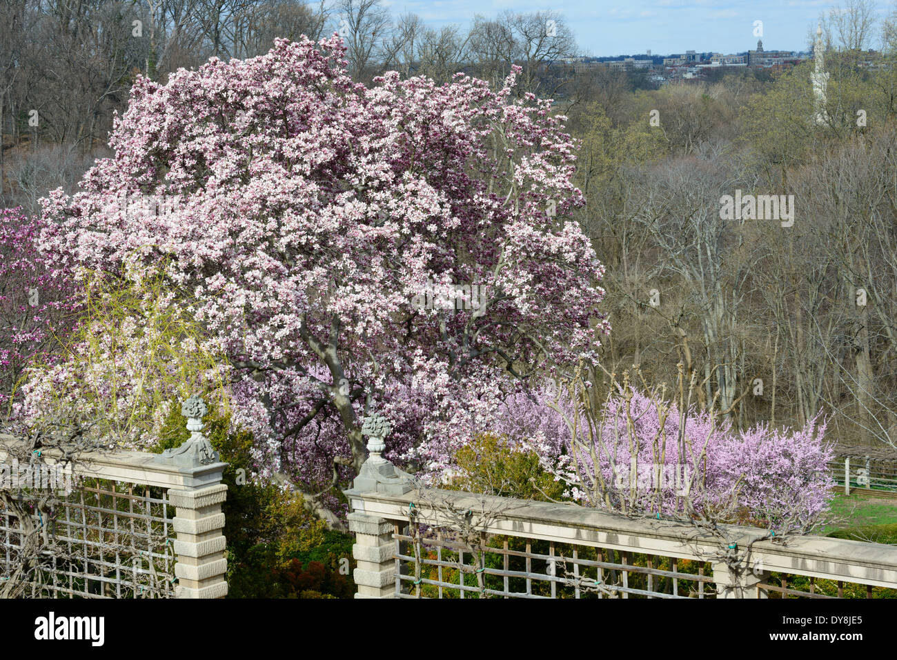 WASHINGTON DC, Estados Unidos los jardines en Dumbarton Oaks, una histórica finca en el