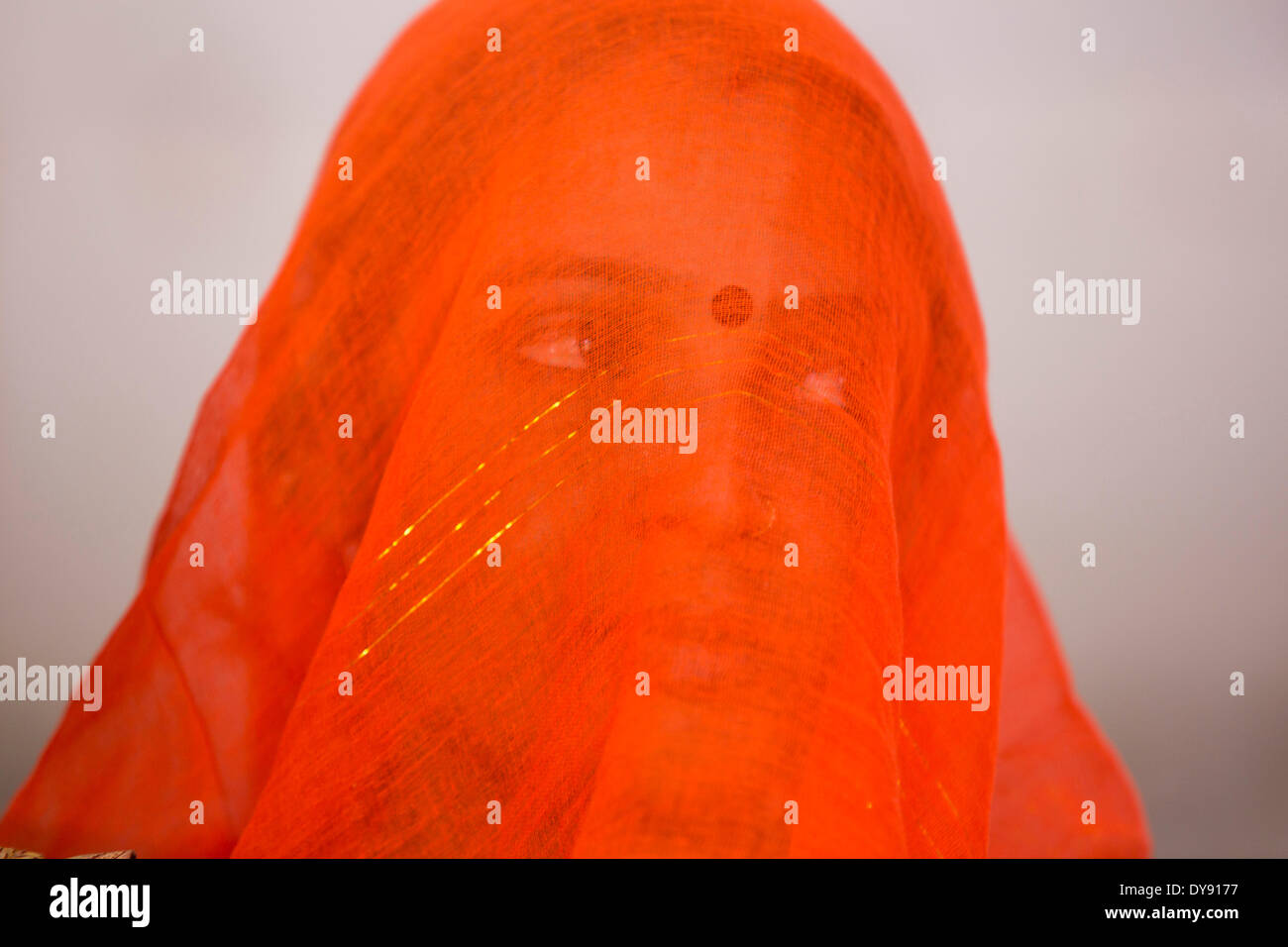 Mujer, mujer, India, Asia, India, retrato, velo, rojo, tradicional, Foto de stock