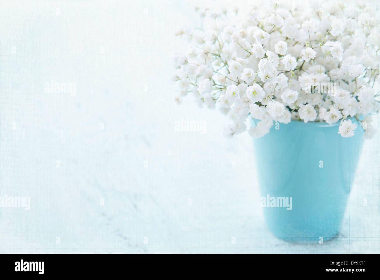 La respiración del bebé blanco flores en un jarrón sobre la luz azul de fondo vintage texturado Foto de stock