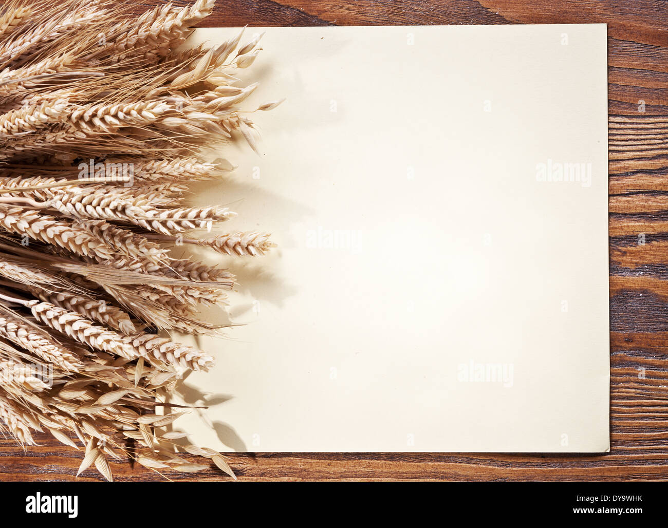 Espigas de trigo sobre un fondo de madera con espacio en blanco Stock-foto