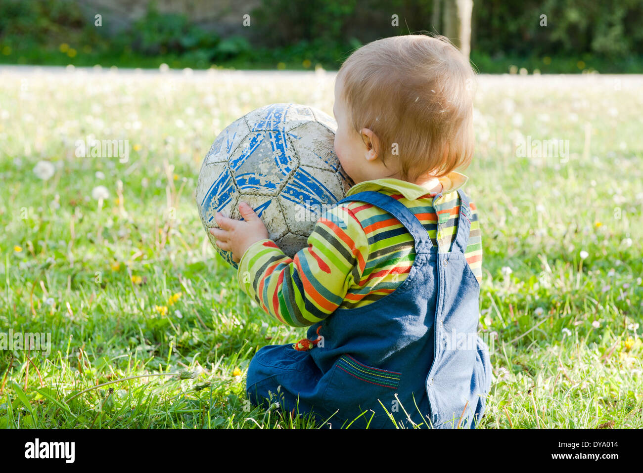 Bebé sentado en la hierba jugando con una pelota de fútbol, vista trasera Foto de stock