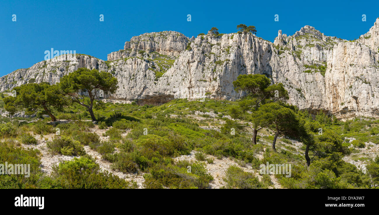 Foret Domaniale de la GARDIOLE paisaje de árboles forestales verano montañas colinas Cassis Bouches du Rhone Francia Europa, Foto de stock