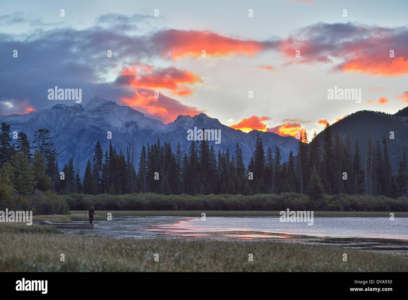 América del Norte, Canadá, Alberta, Montañas, Lago, dawn, naturaleza, vertical, Rockies, el Parque Nacional Montañas Rocosas, desierto Foto de stock