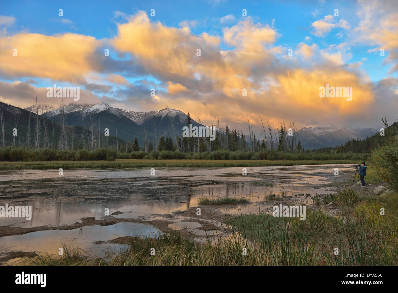 América del Norte, Canadá, Alberta, Montañas, Lago, dawn, naturaleza, vertical, Rockies, el Parque Nacional Montañas Rocosas, desierto Foto de stock