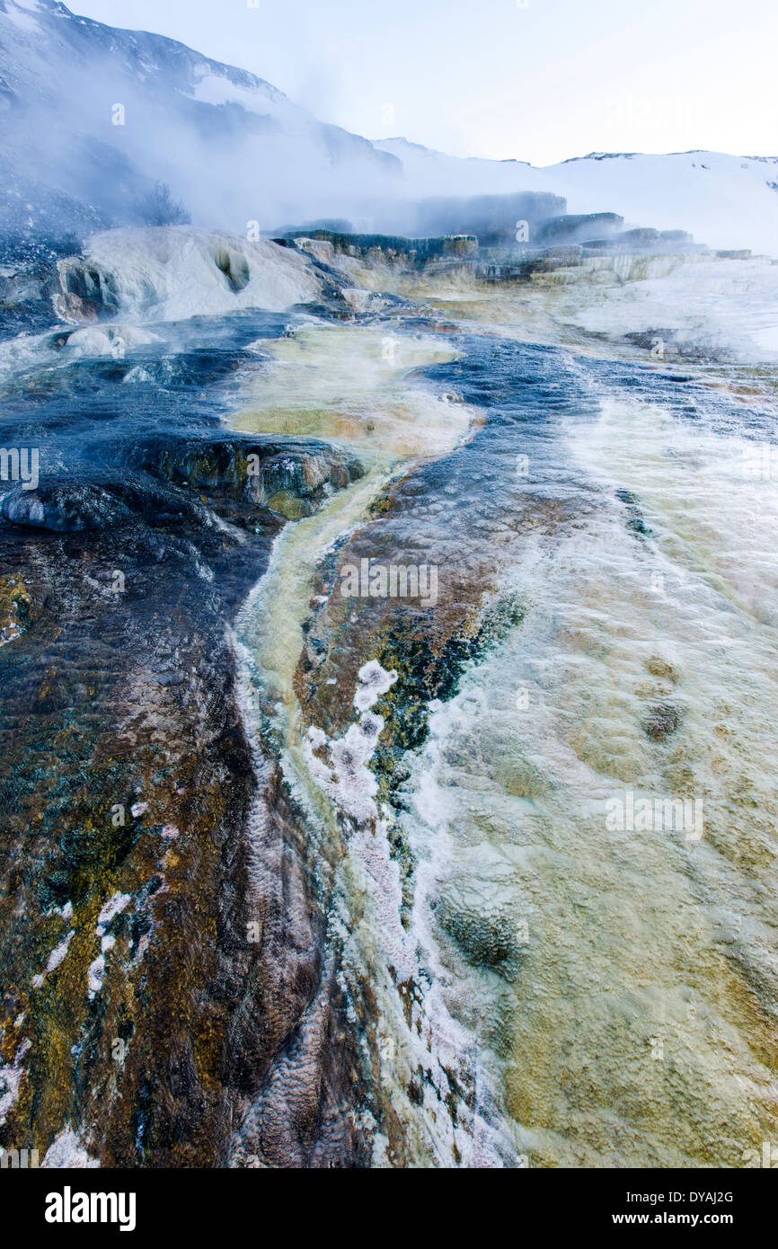Montículo Terraza, Mammoth Hot Springs, el Parque Nacional de Yellowstone, en EE.UU. Foto de stock