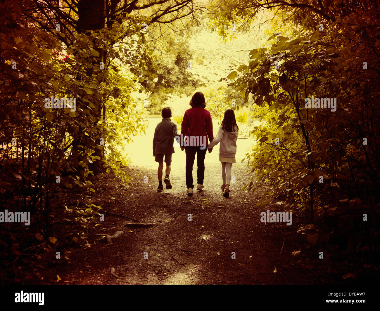 La madre y los niños caminan en maderas Foto de stock