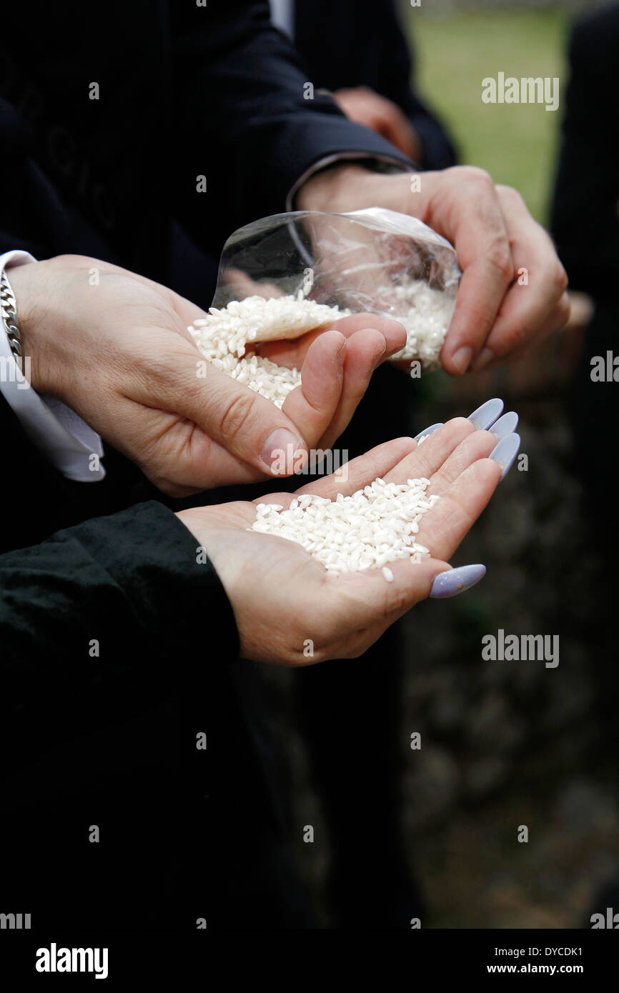Manos listo para lanzar el arroz a la novia Foto de stock