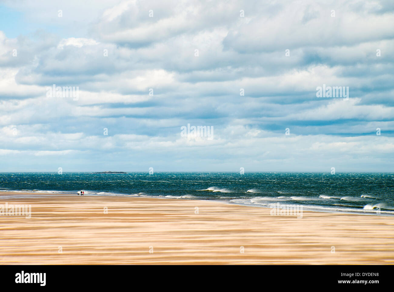 Día de viento en la playa entre Bamburgh y Seahouses. Foto de stock