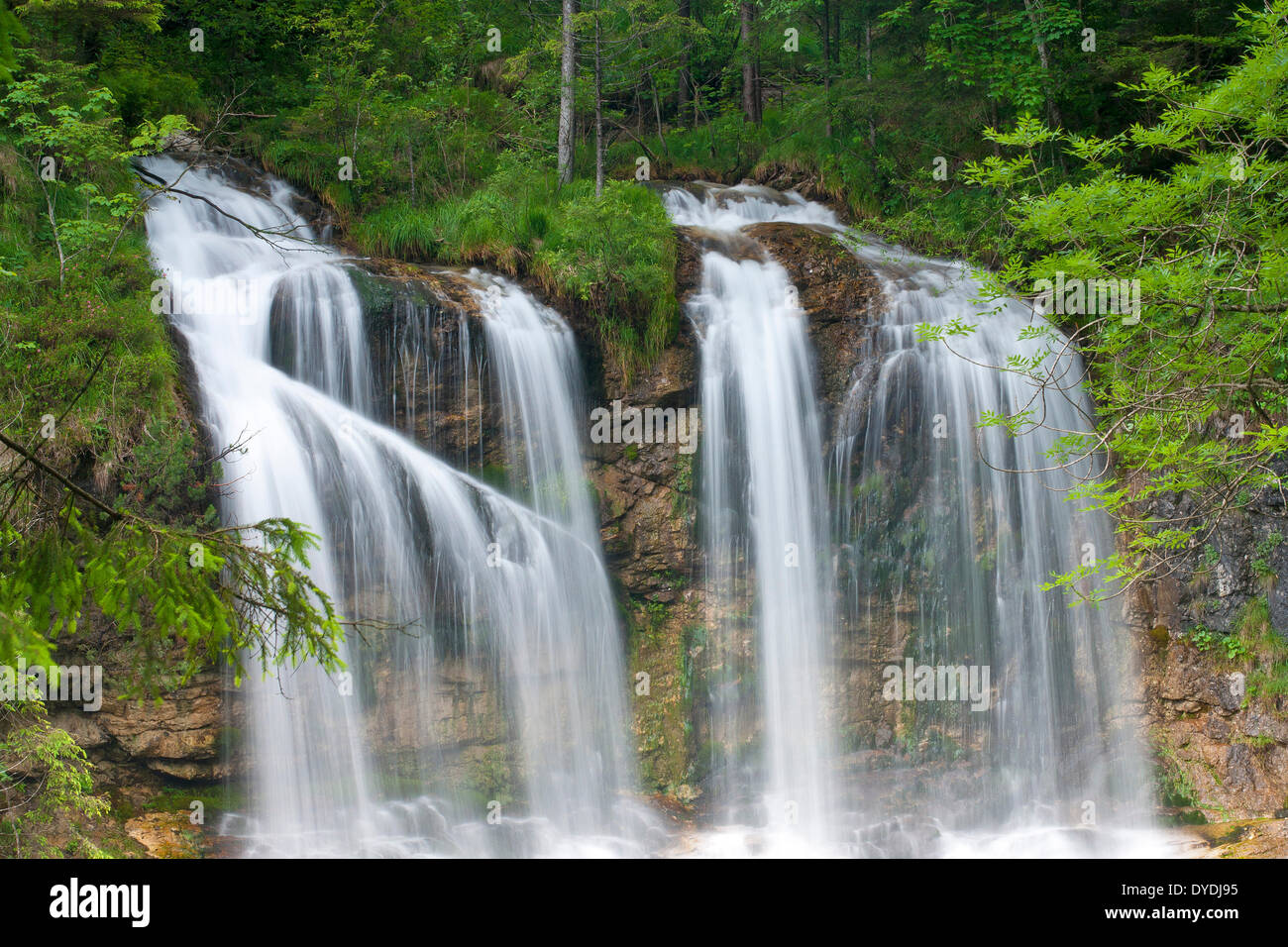 Bavaria, Alemania, Europa, zona de Berchtesgaden, Schneizlreuth, blanco Brook, caída, cascada de agua, Foto de stock
