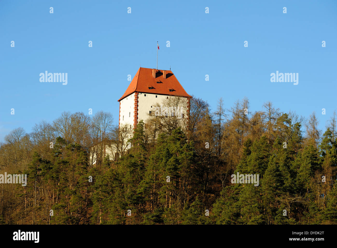 Ziegenrück, castillo, Turingia, Alemania, Europa Foto de stock