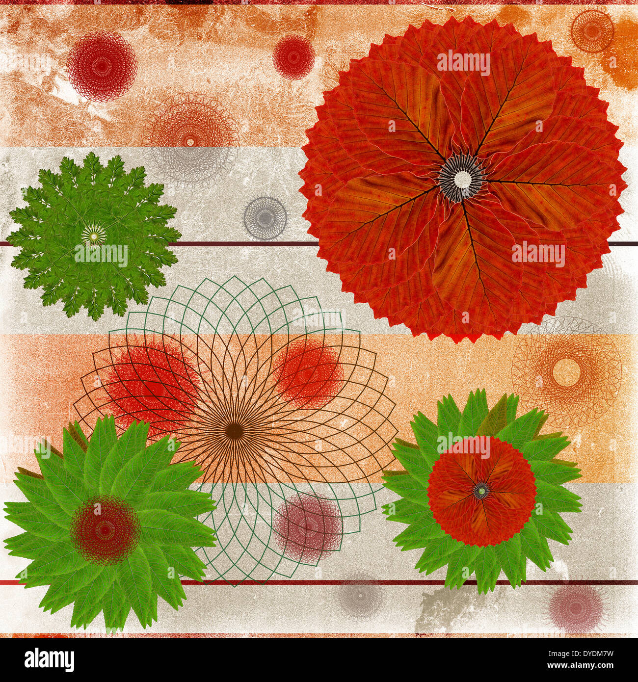 Resumen Antecedentes o tarjeta decorativo con diseños de hojas florales Foto de stock