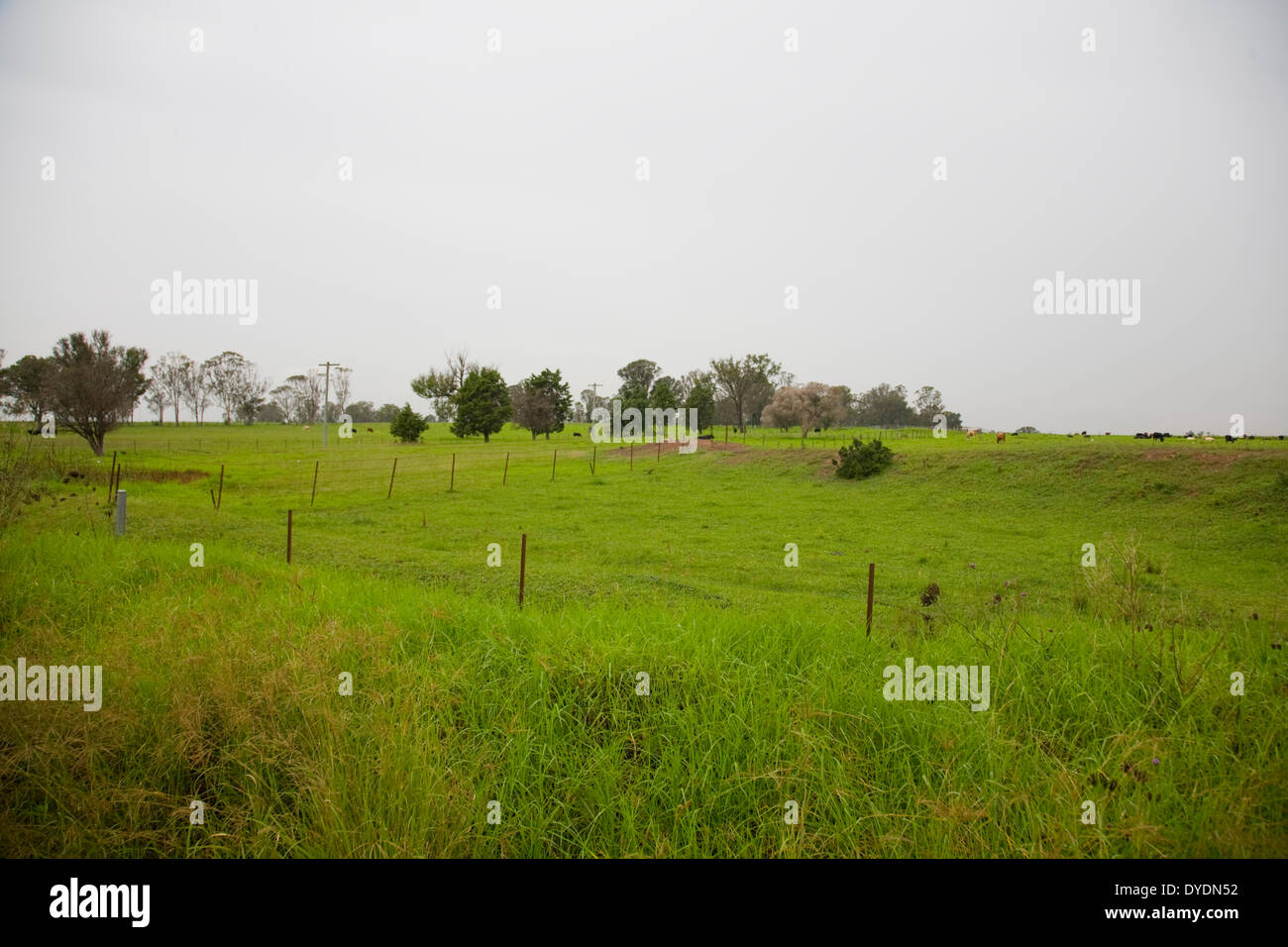 Fotos de Archivo desde el 10 de abril de 2014. Sydney, Australia. El 15 de abril de 2014. El Gobierno del Commonwealth de Australia ha anunciado el segundo aeropuerto de Sydney se encuentra en Badgerys Creek, Martes 15 de abril de 2014. Martin crédito Berry/Alamy Live News Foto de stock